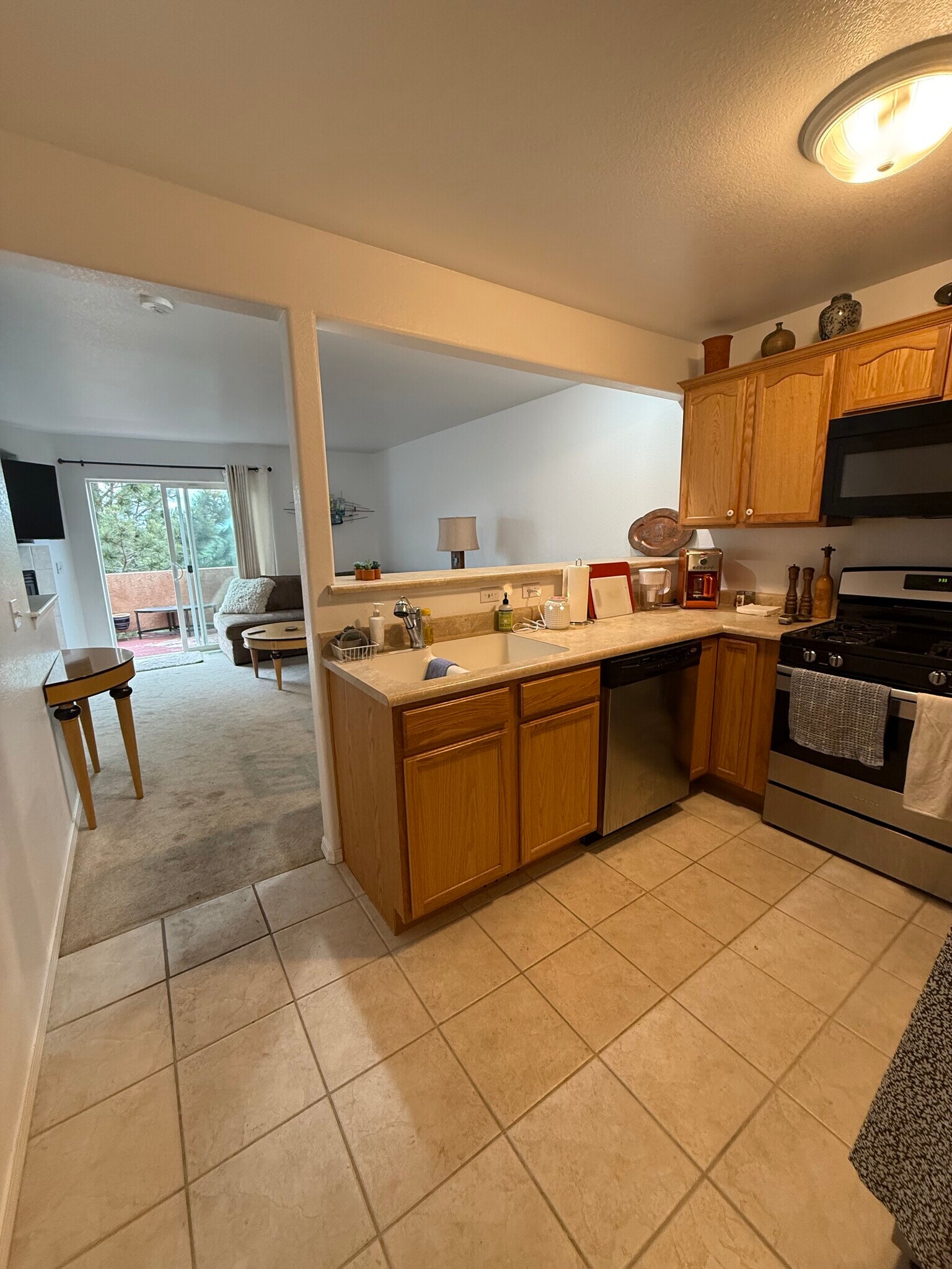 Kitchen/Gas Stove, Dishwasher/Fully Stocked - 1526 Garden Vista Grv