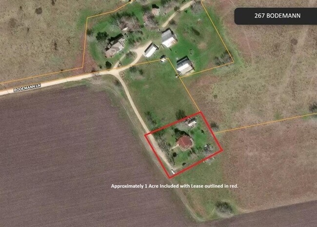 Building Photo - 267 Bodemann Ln