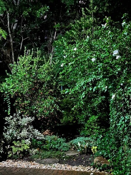 garden - 2500 Q St NW