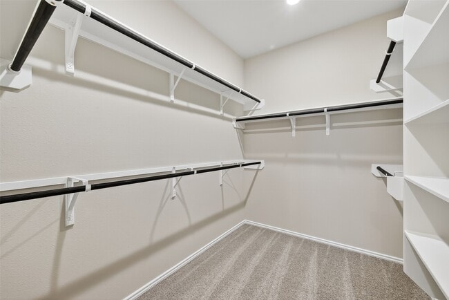 Building Photo - 411 Sunlit Vly Cir