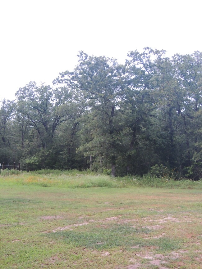 Peaceful and beautiful views - 910 Perry Ln