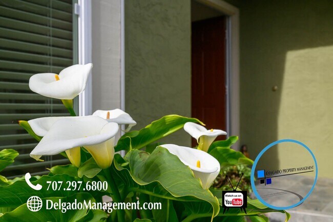 Building Photo - Benicia! GORGEOUS Southampton Hills home