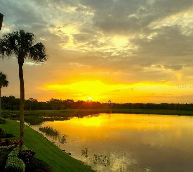 Building Photo - 7803 Grand Estuary Trl