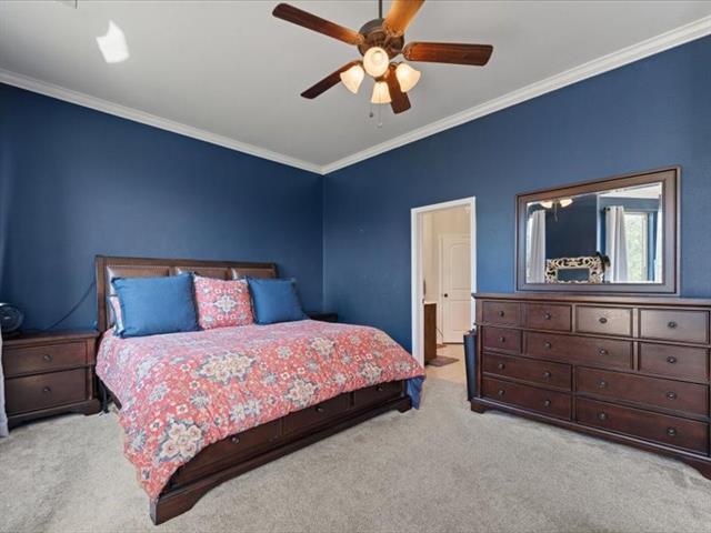 Building Photo - 654 Plum Dr