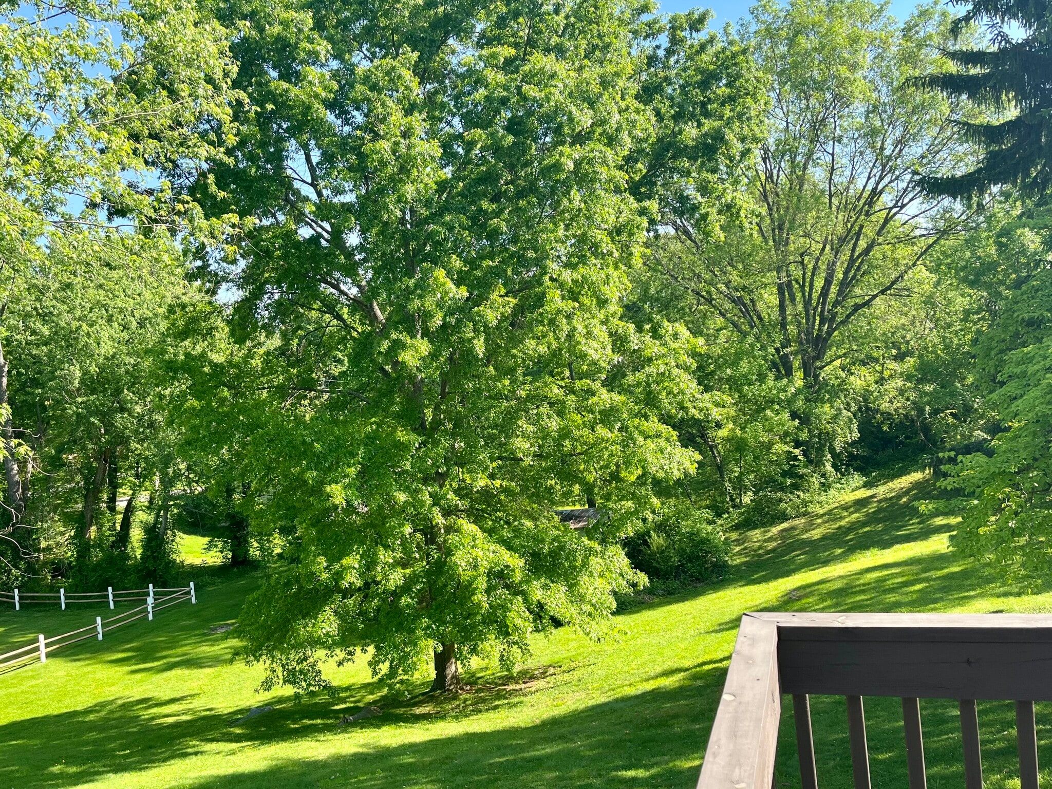 Large Backyard - 2108 Valley Ln