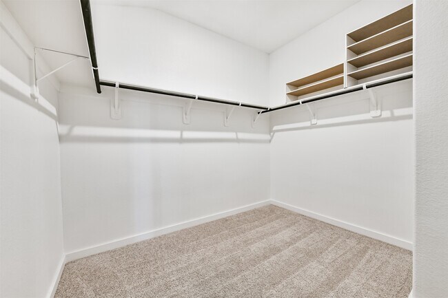 Building Photo - 10406 Hermann Trace