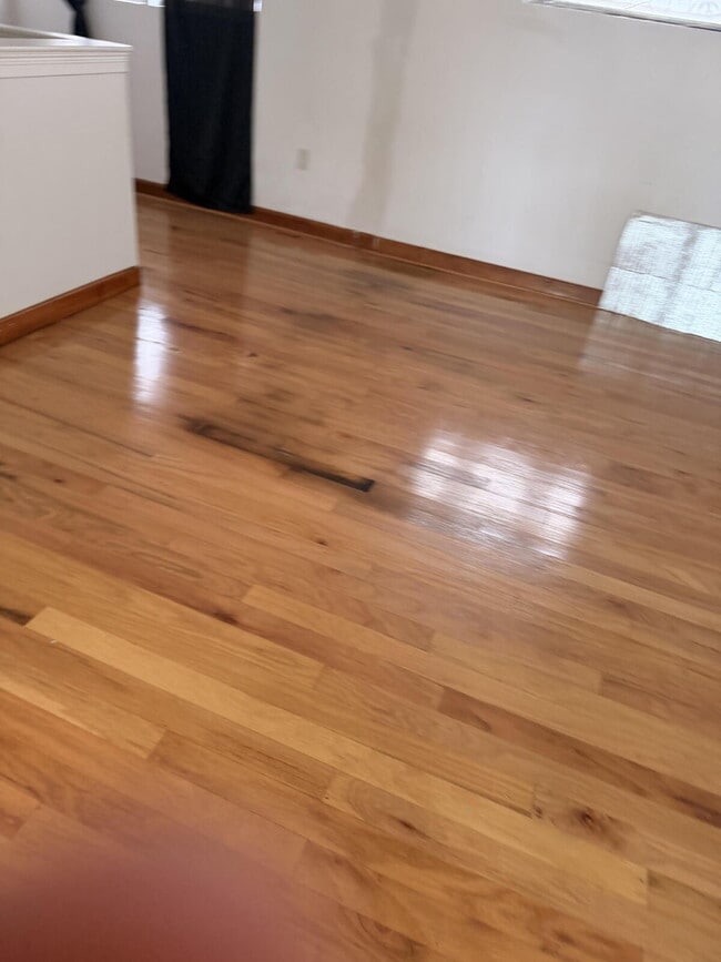 Building Photo - "Charming 1-Bedroom Retreat in Tampa - Cozy 650 Sq. Ft. Home Awaits!"