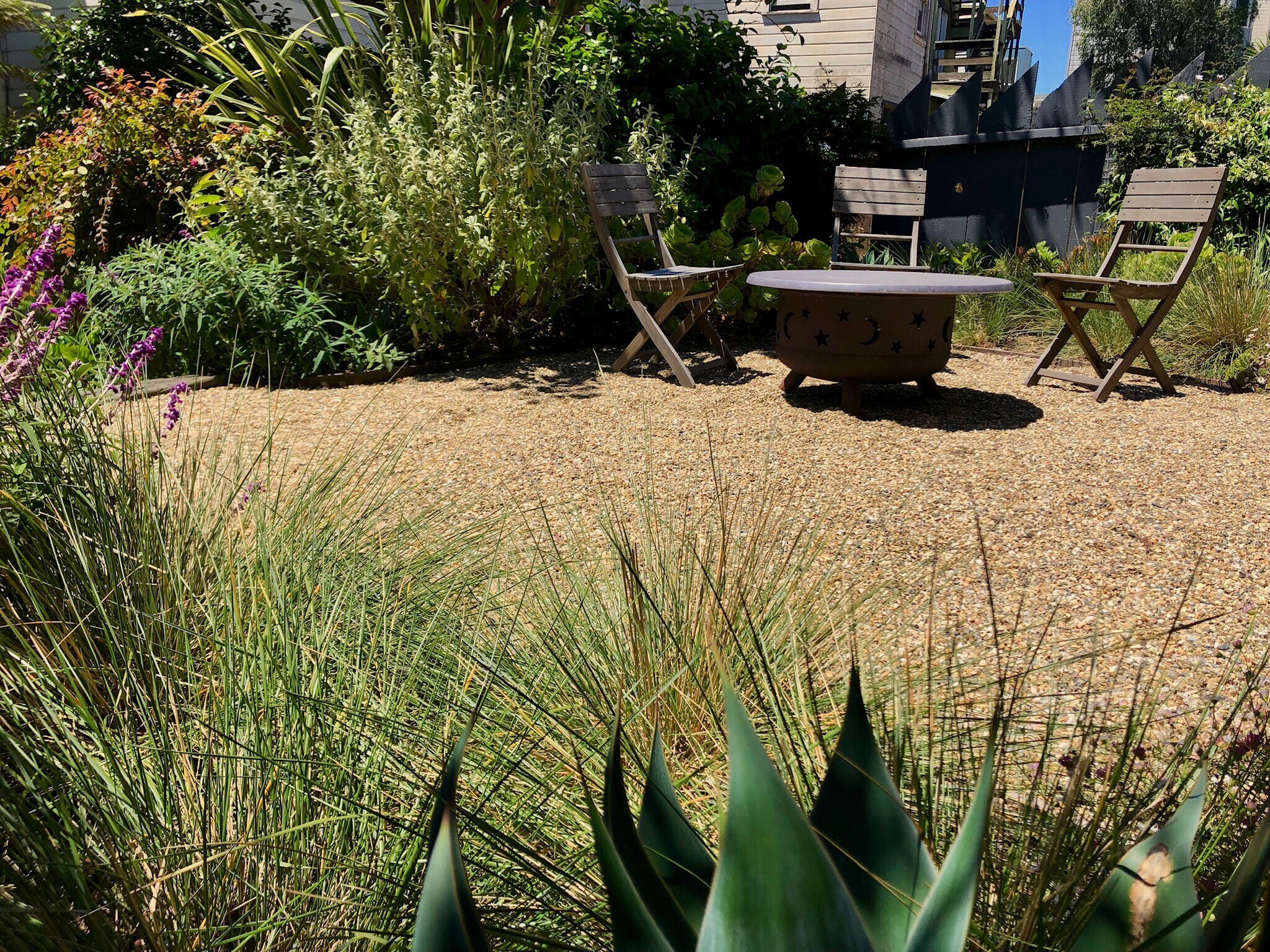 Sunny shared backyard designer garden with BBQ and fire pit. - 1528 Fulton Street