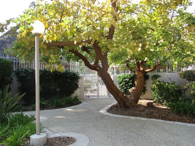 Building Photo - Woodlands in La Jolla  2 bedroom 1 bath to...