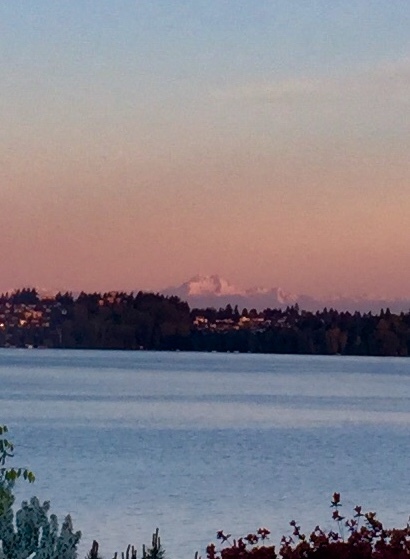 Olympic Mountain View from Inside Condo #101 - 6620 Lake Washington Blvd NE