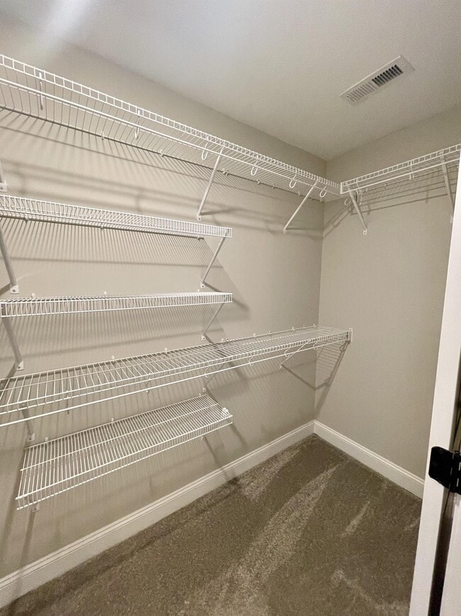 Building Photo - 1005 Ridgestone Ct