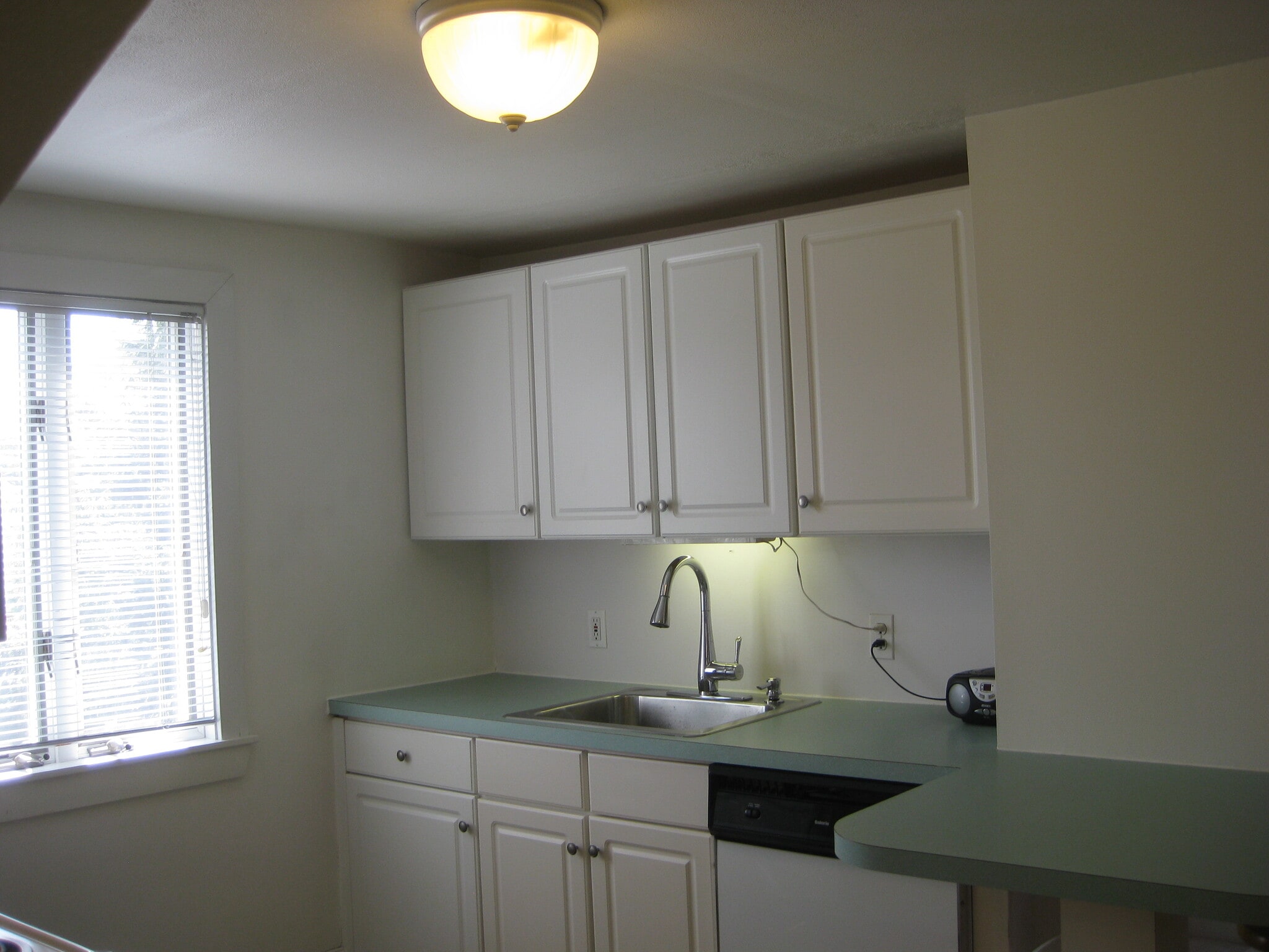 SS Kitchen sink with Pull-down faucet - 300 Inman Terrace
