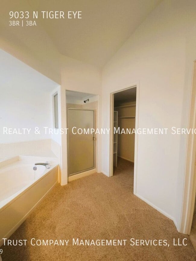 Building Photo - 9033 N Tiger Eye Way