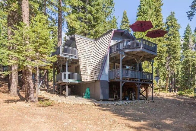 Building Photo - SEASONAL LEASE: "Ski Bird's Paradise"