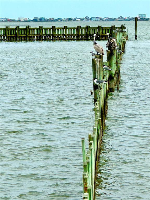 Building Photo - 500 Tiki Dr