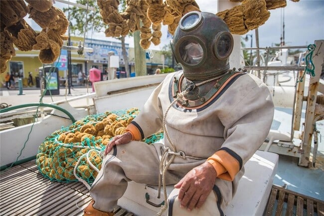 Building Photo - 3295 Fox Chase Cir