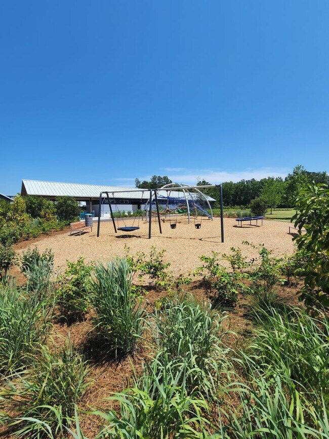 Building Photo - Like new 3 bedroom - Nexton / Midtown - Su...