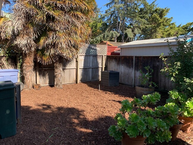 Building Photo - large home in the heart of Berkeley with a...