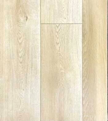 Building Photo - 23412 Pacific Park Dr