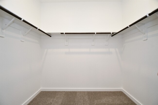 Building Photo - 4212 Lyons Fall Ln