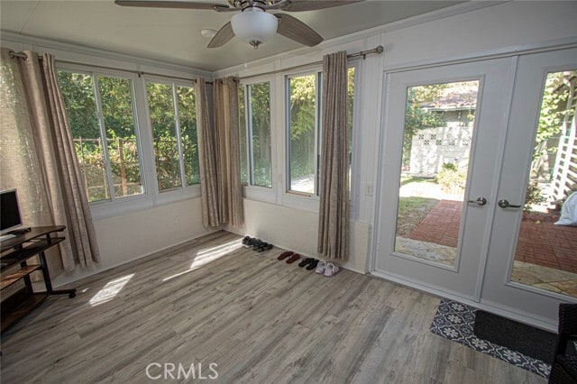 Building Photo - 59 Calle Cadiz