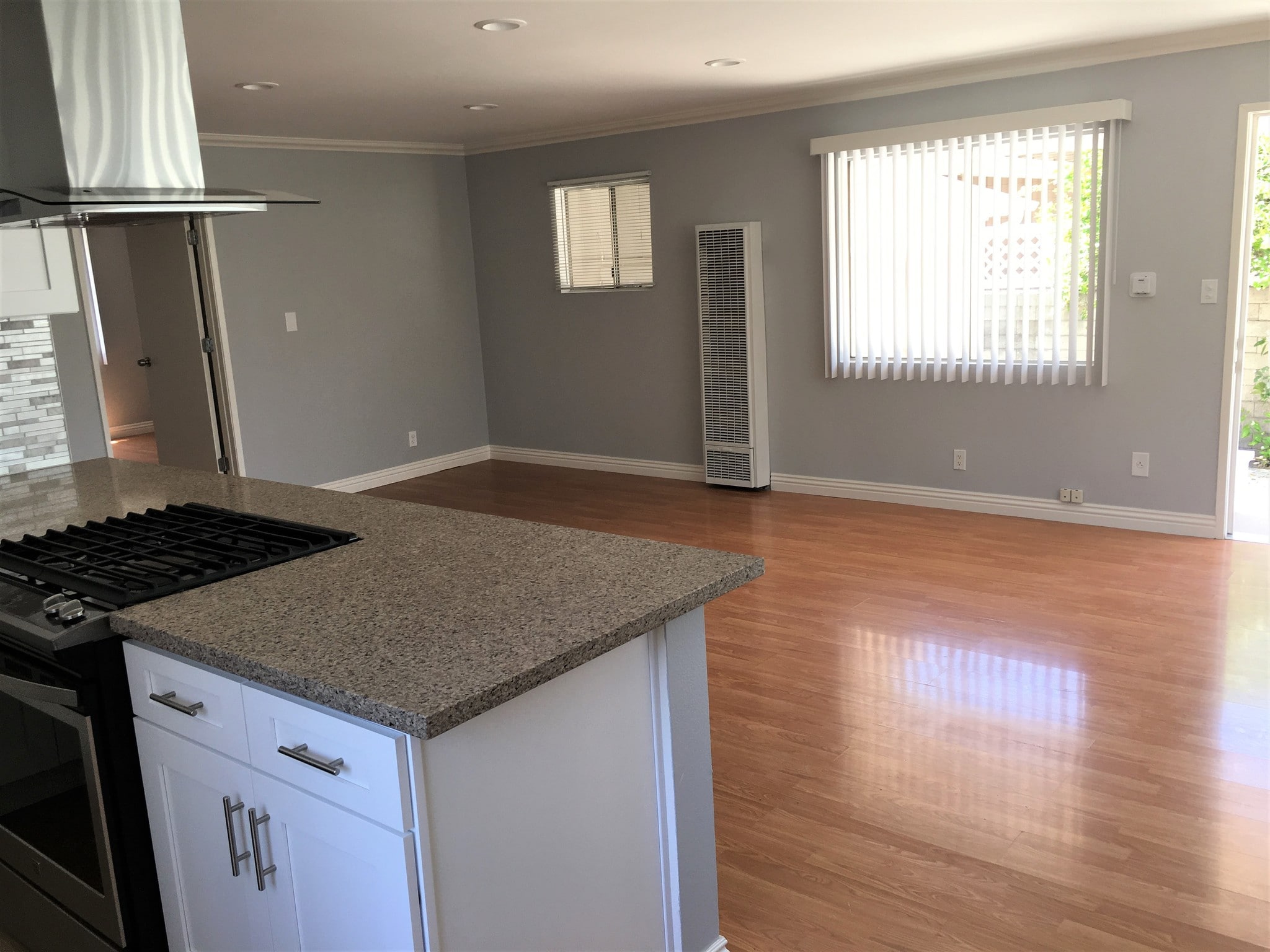 Living/Kitchen - 546 Salem St