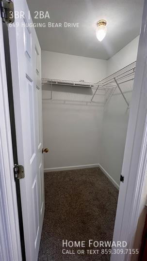 Building Photo - 649 Hugging Bear Ln