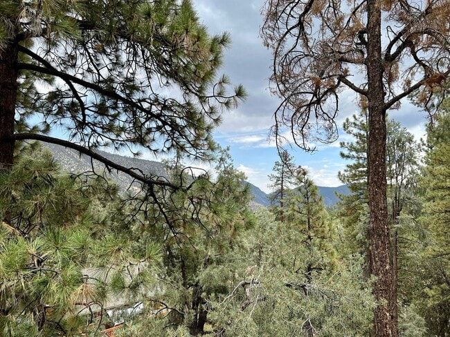 Building Photo - Cozy 3-Bed 2-Bath Cabin-Style Home Nestled...
