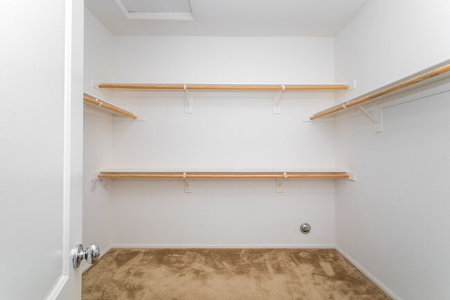 Building Photo - 28629 Farrier Dr