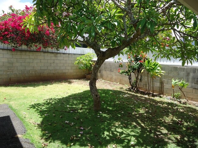 Building Photo - Kailua - Coconut Grove 3 bedroom / 1 bath ...