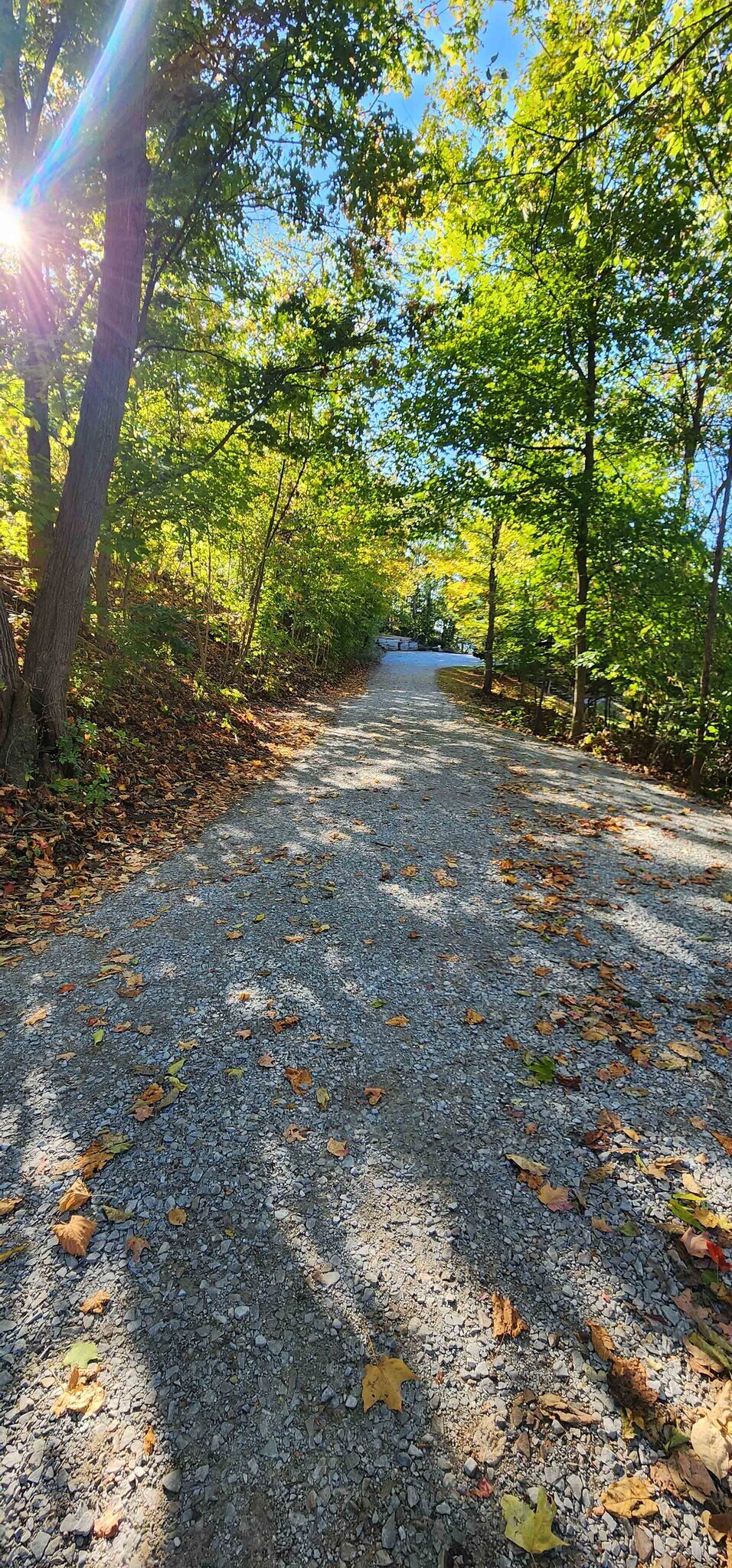 Private Lane toward Apartment - 231 Lindley Rd