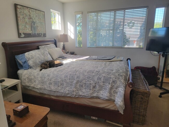 Building Photo - 49 Bluff Cove Dr