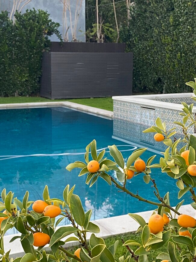 Patio view of pool and spa - 12131 Huston St