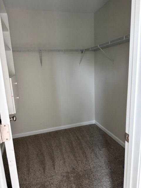 Building Photo - 430 Cantle Dr