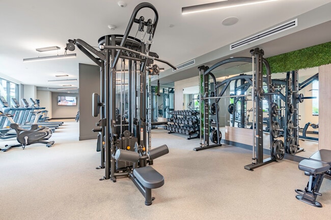Fitness Center - Gallery Marti Park