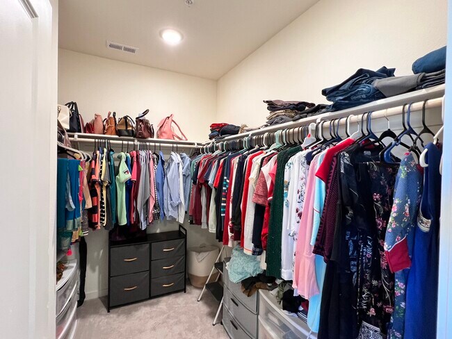 Walk in Closet - 4711 Falcon Rock Ln