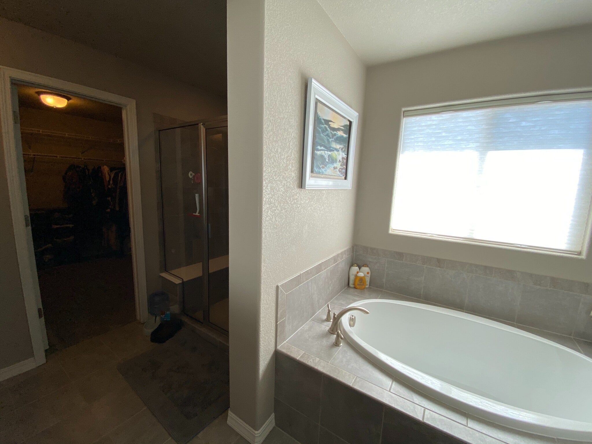Building Photo - 7451 Thorn Brush Way