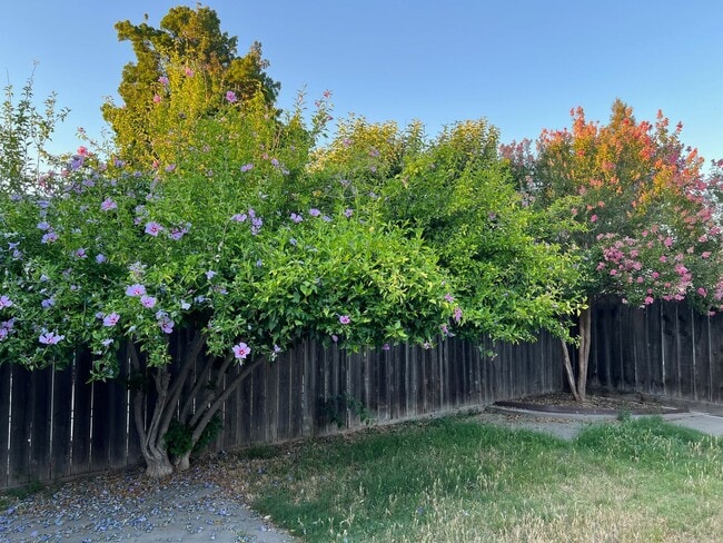 Building Photo - 2409 Riedel Way