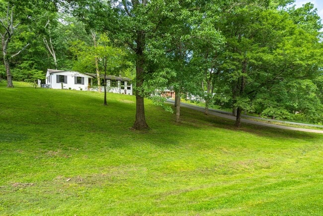 Primary Photo - Amazing 3BE/2BA home in the West Meade & Hillwood Estates area!