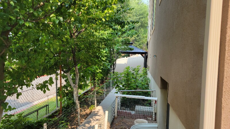 Building Photo - 807 Whisper Cove Rd