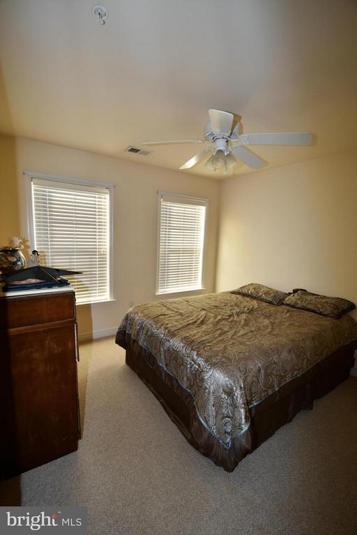 Building Photo - 805 Thicket Ct