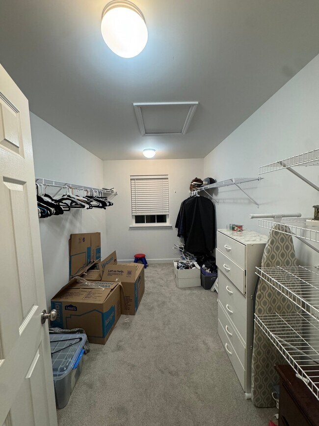 Building Photo - 1017 Antonio Dr