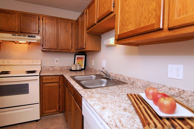 Building Photo - 1073 Paragon Ct