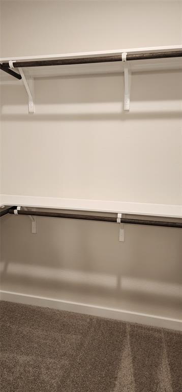 Building Photo - 2341 Moon Tower Trl