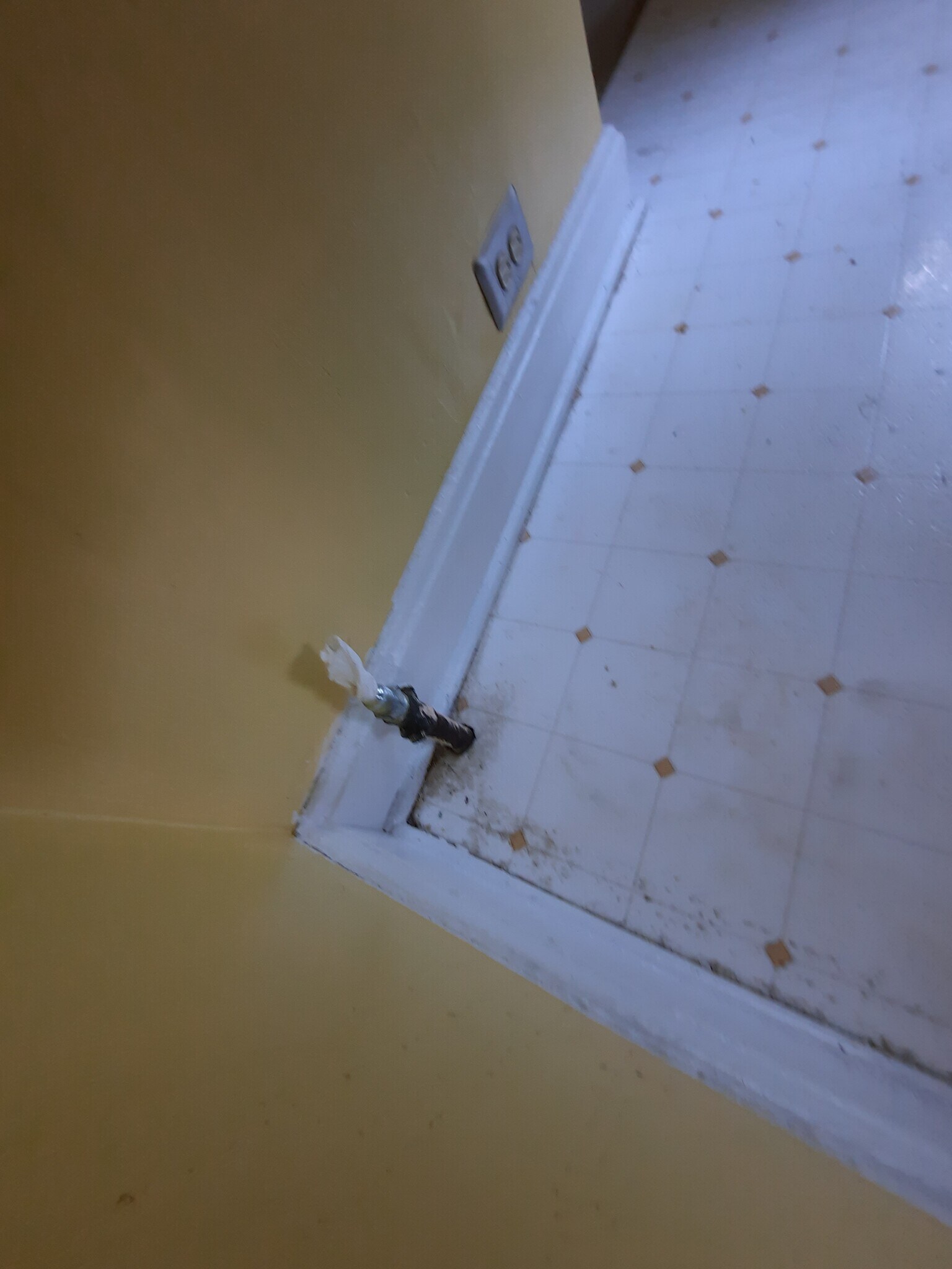 Gas hook up for stove - 1776 Dixdale Ave