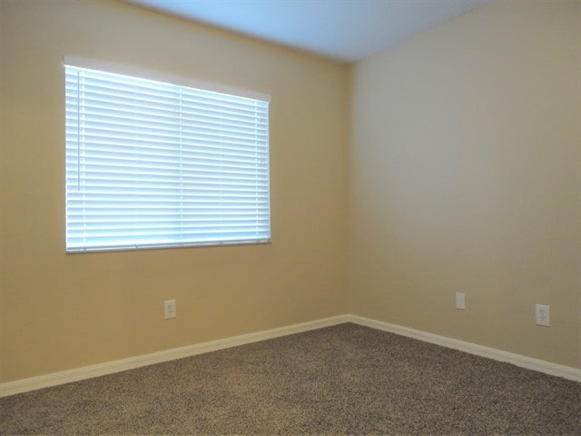 Building Photo - 12024 Cedarfield Dr