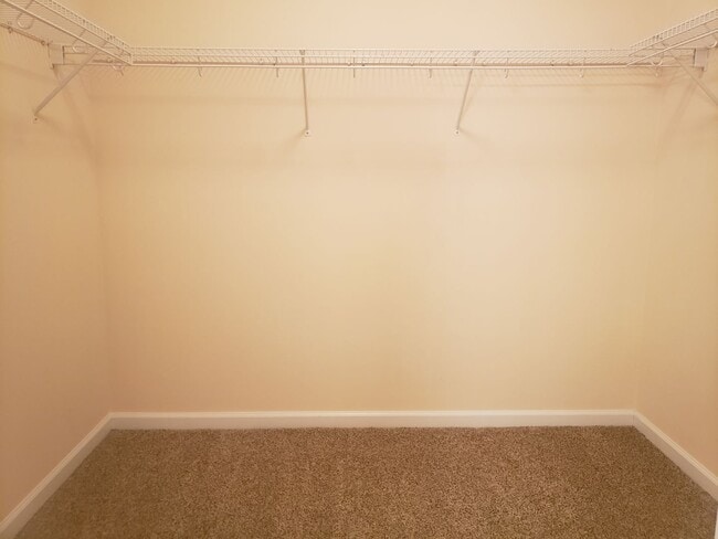 Building Photo - Available January!