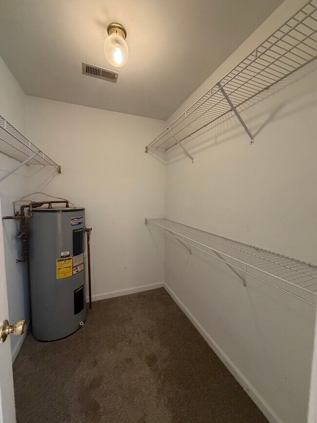 Building Photo - 1724 Carriage Cove Ln