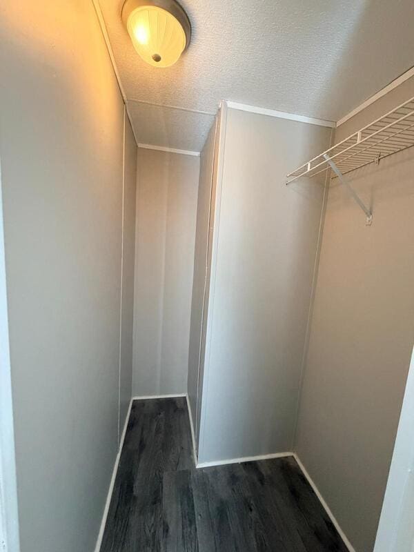 Building Photo - 2618 Cattail Cir