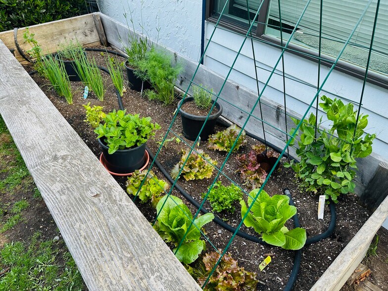 Building Photo - 17722 North Park Pl N